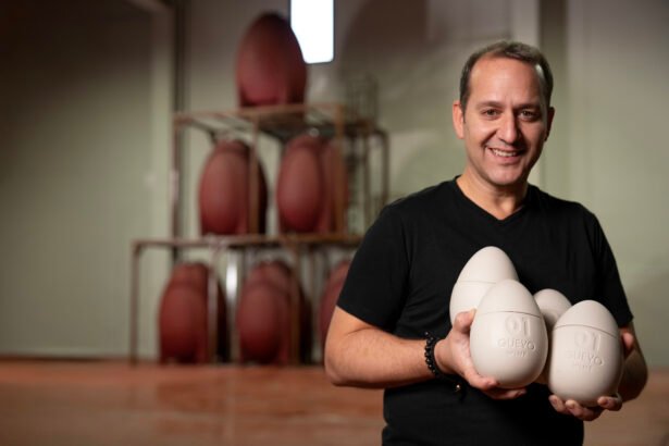 Cesar Langa - Güevo Wine